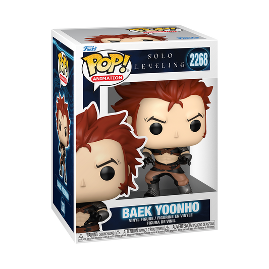Solo Leveling Pop! Baek Yoonho